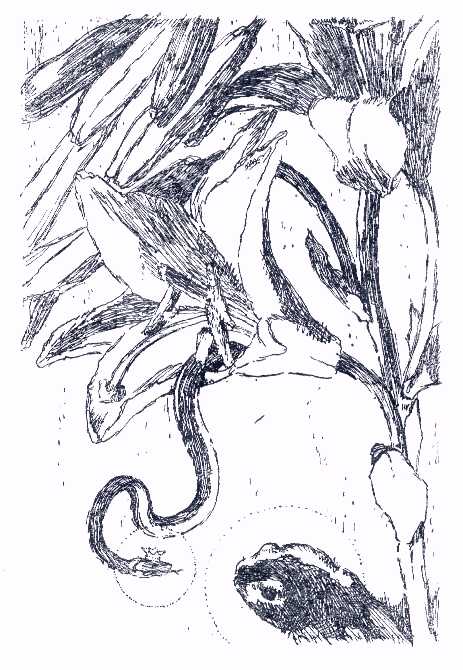Художник Edmund Schaefer, Германия, 1913 г.